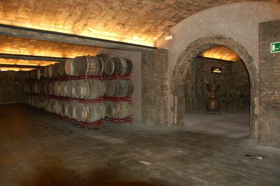 Barolo en primeur, asta vino