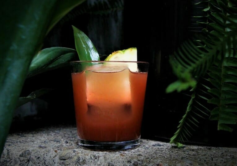 Jungle Bird