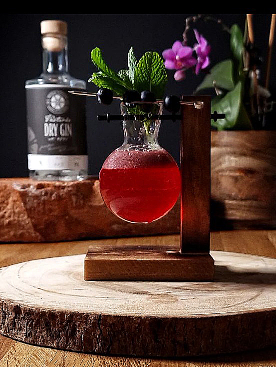gIN fiZZ