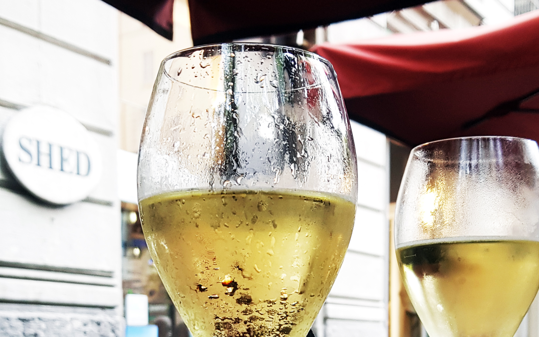 Vini senza alcol