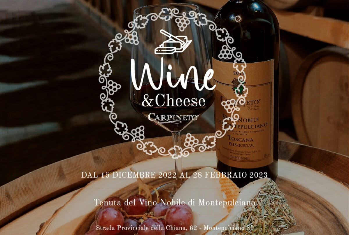 bottiglia di vino formaggio e uva