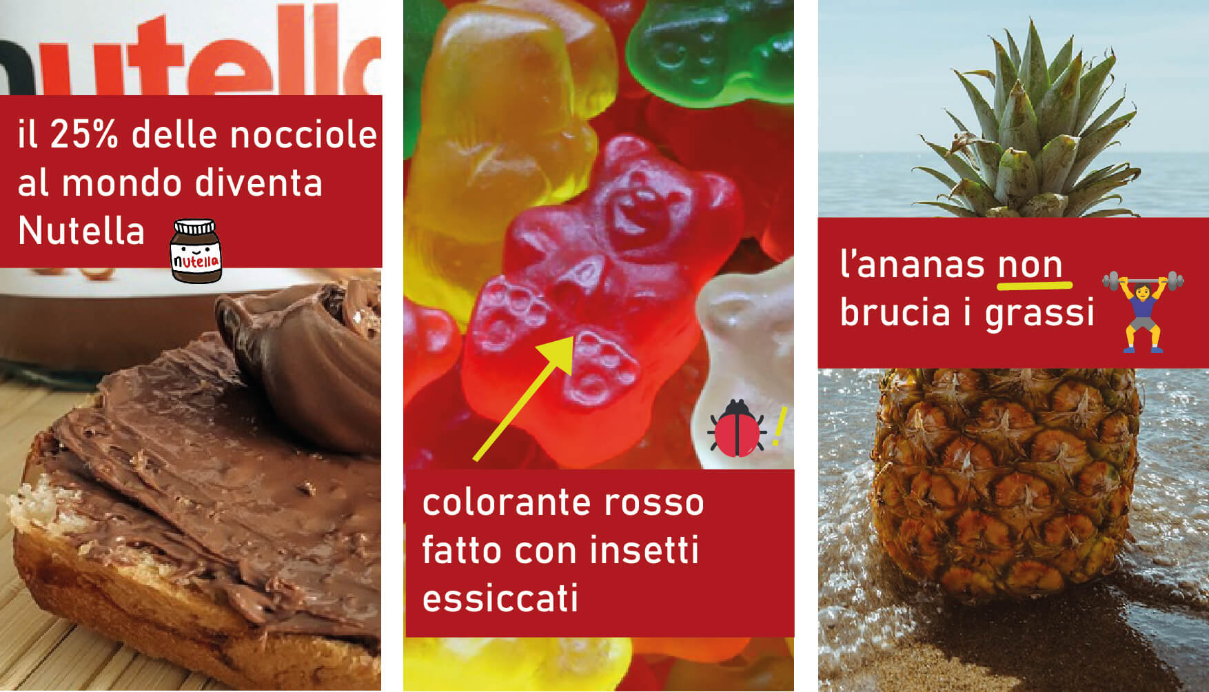 20 curiosità sul cibo