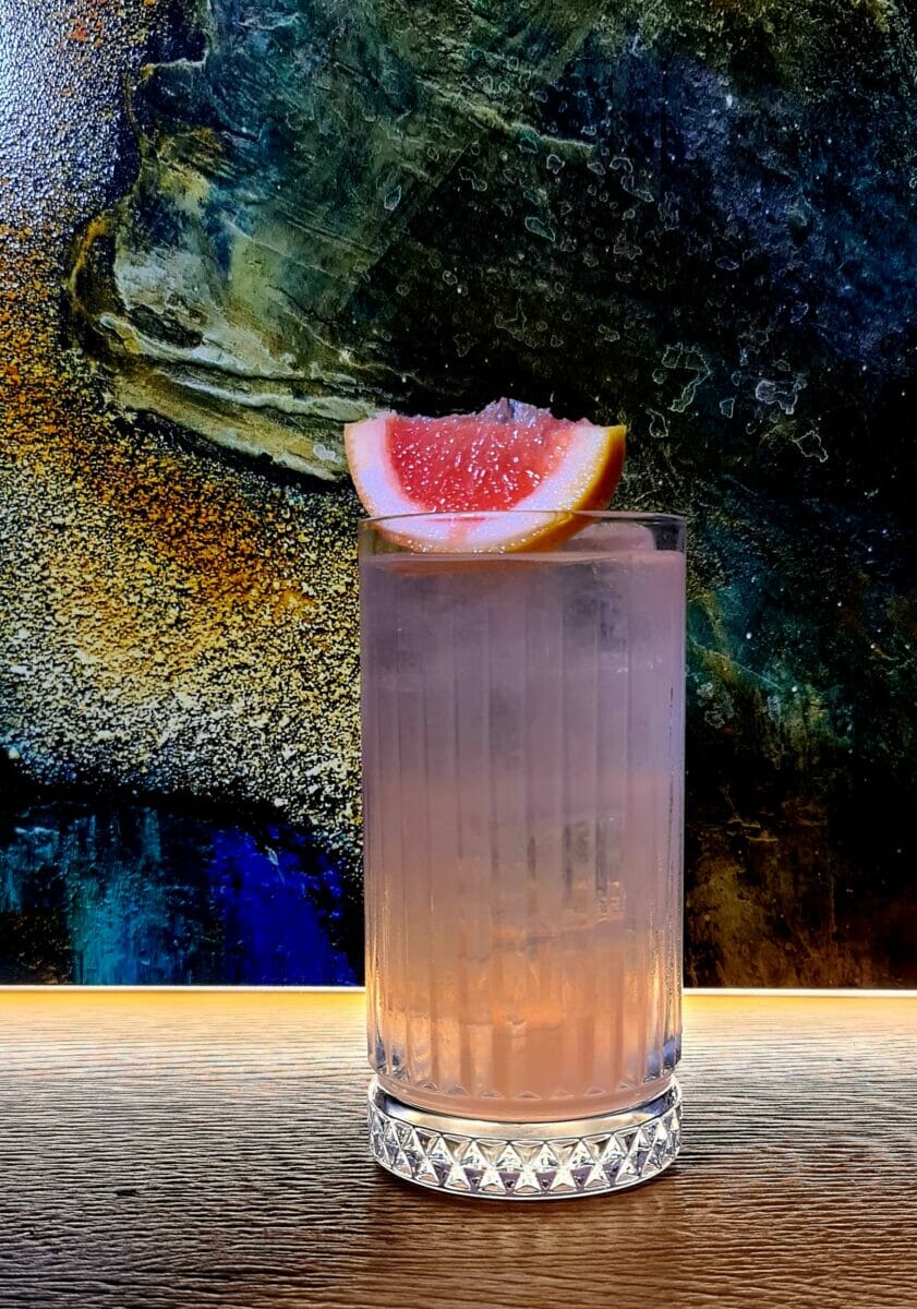 paloma ricetta