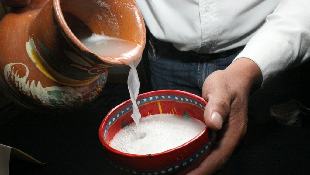 pulque, birra tradizionale