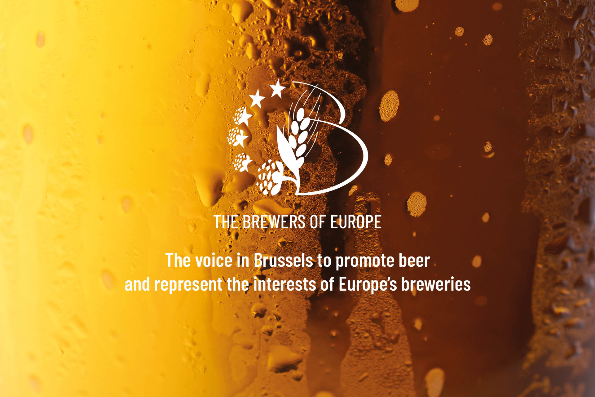 The Brewers of Europe