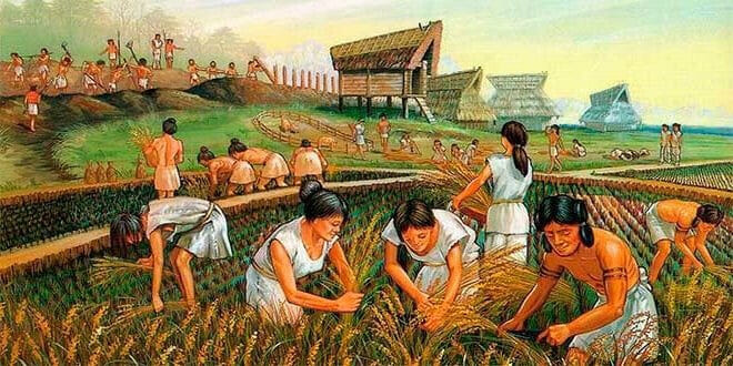 birra e agricoltura