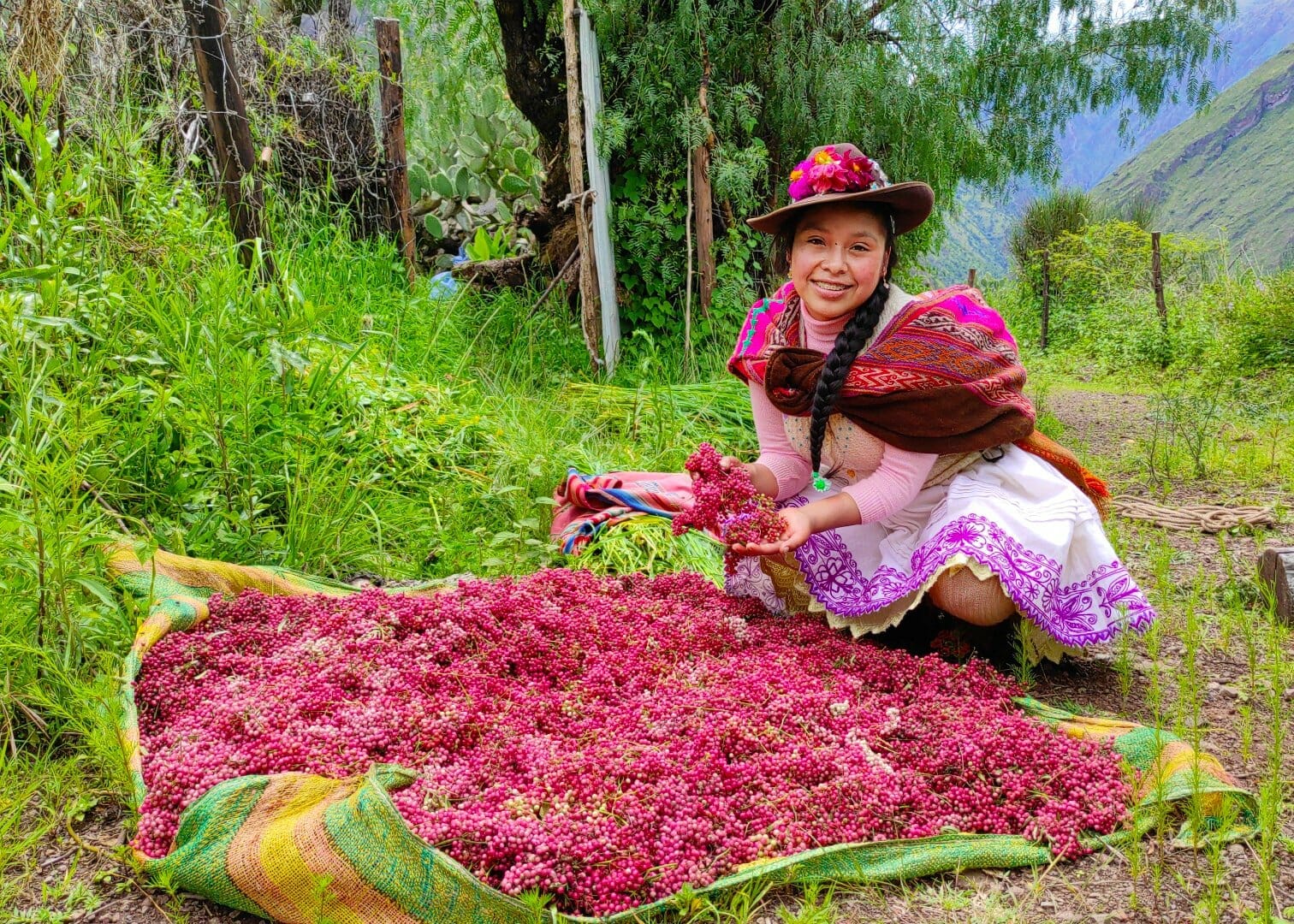 bacche di pepe rosa per la chica molli
