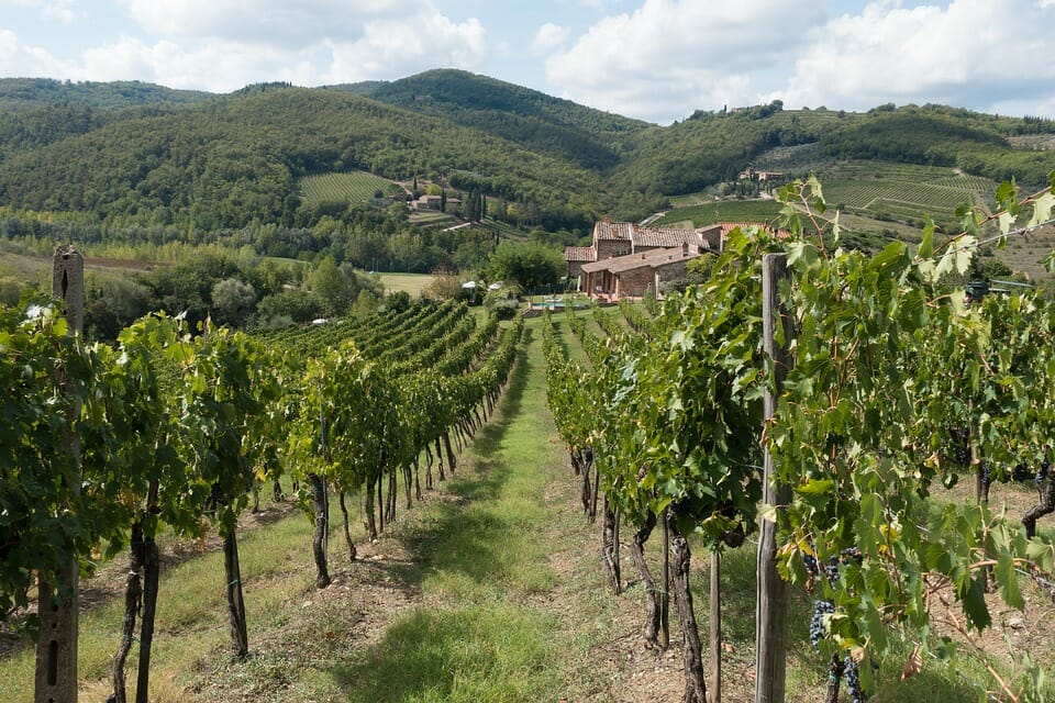 Chianti lovers e Rosso Morellino