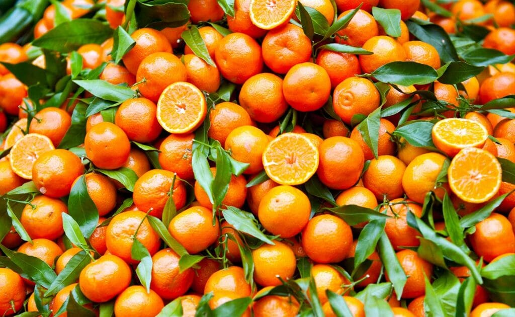 Le Clementine di Calabria IGP non temono confronti a Berlino