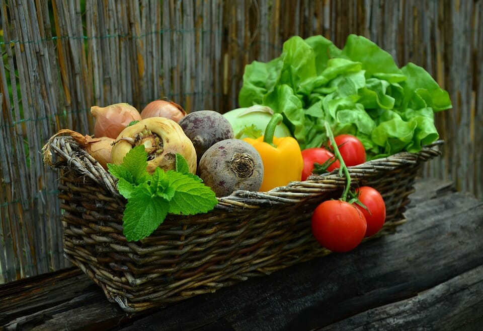 frutta e verdura biologica