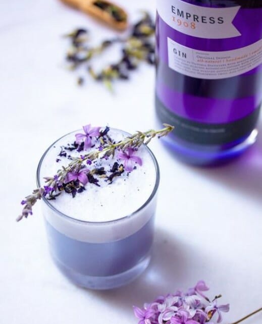 Gin Sour