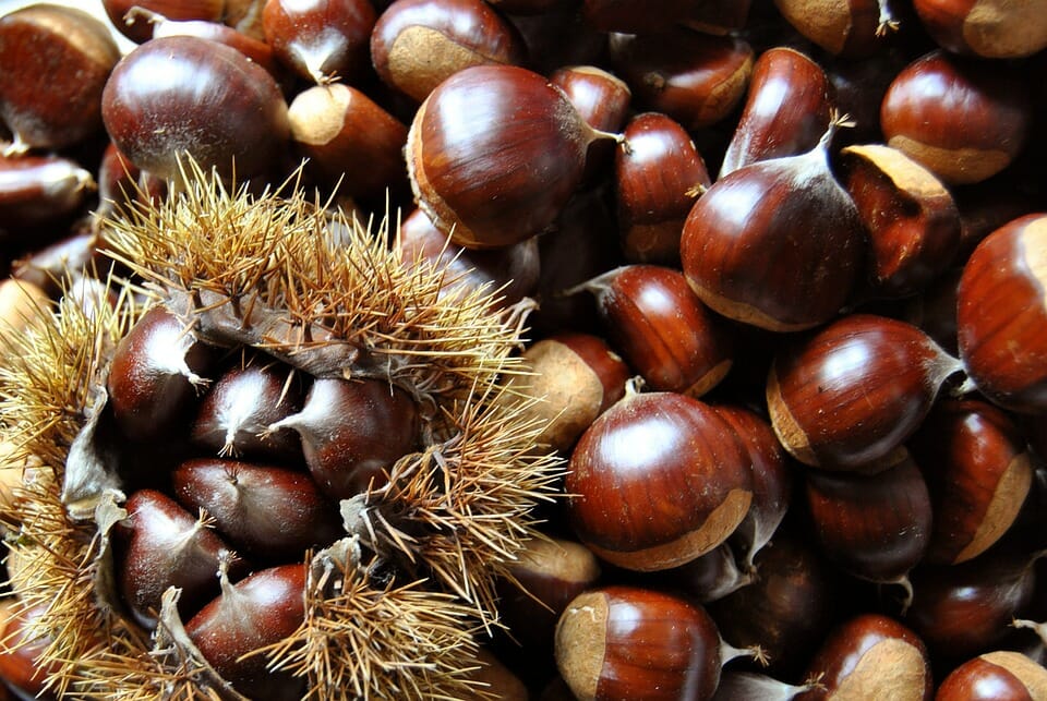 Farina di castagne lunigiana