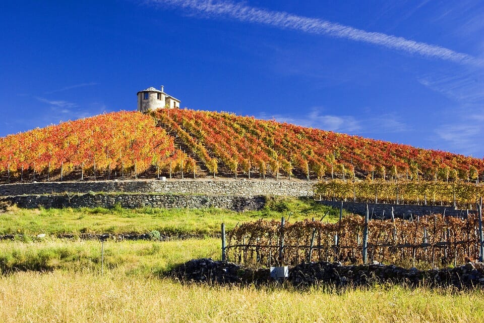 enoturismo vigna