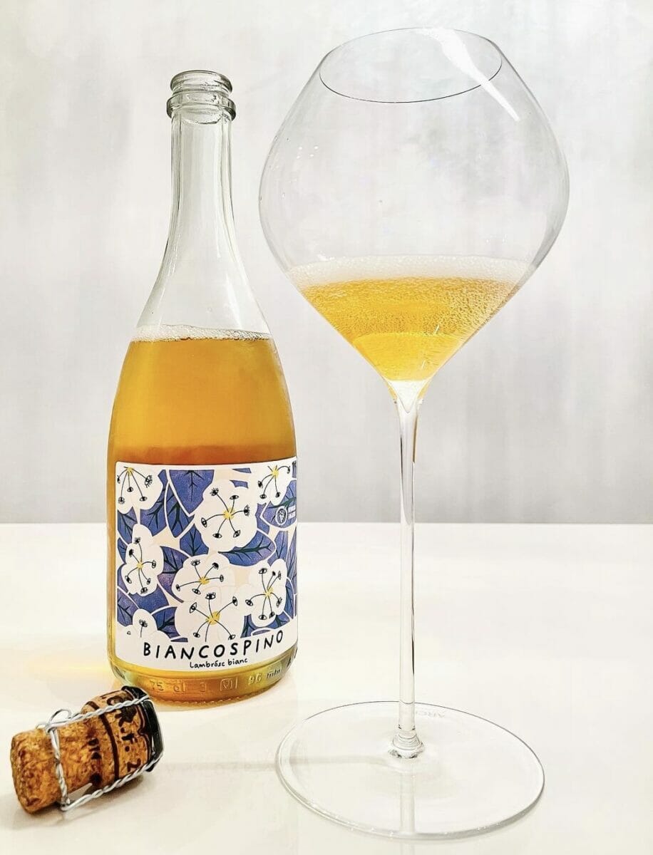 Il Lambrusco Bianco “Biancospino” della Cantina Fangareggi