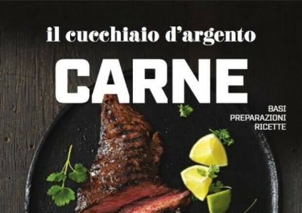 cucchiaio d'argento carni, libro
