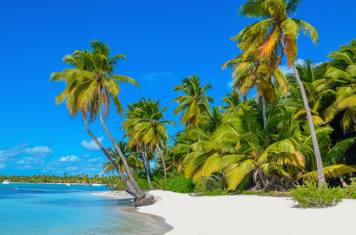 Spiaggia Guadalupa Caraibi