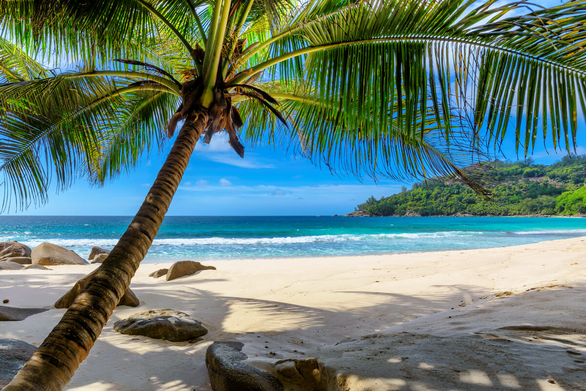 Spiaggia Barbados