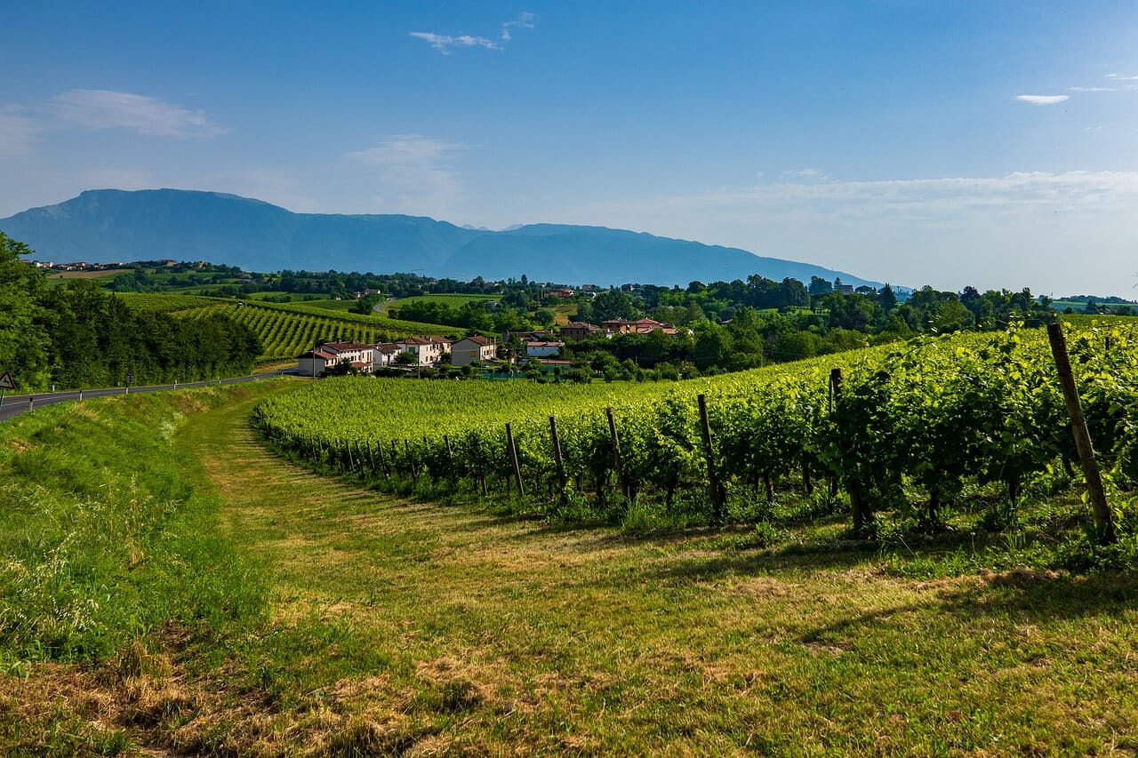 Red Montalcino