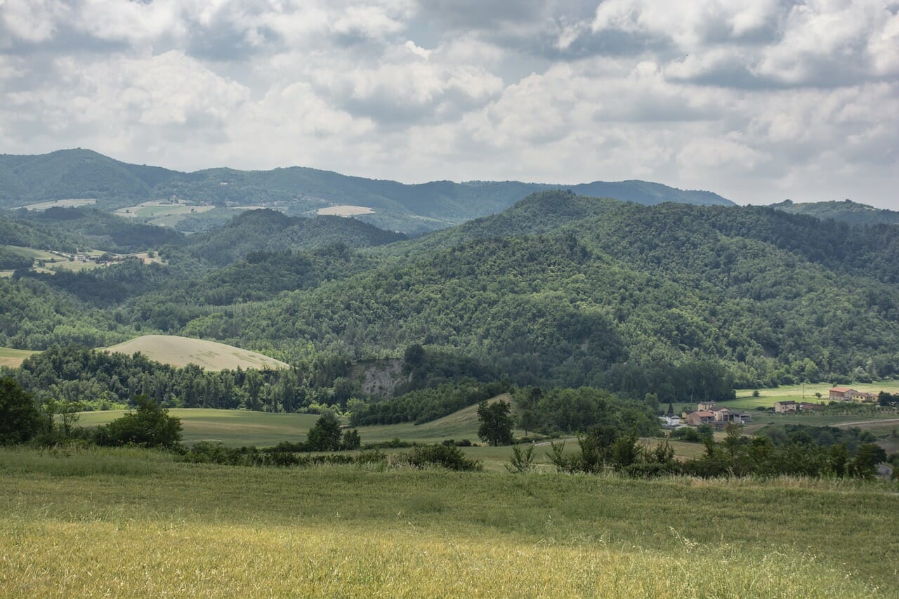 Berlucchi franciacorta Oltrepò