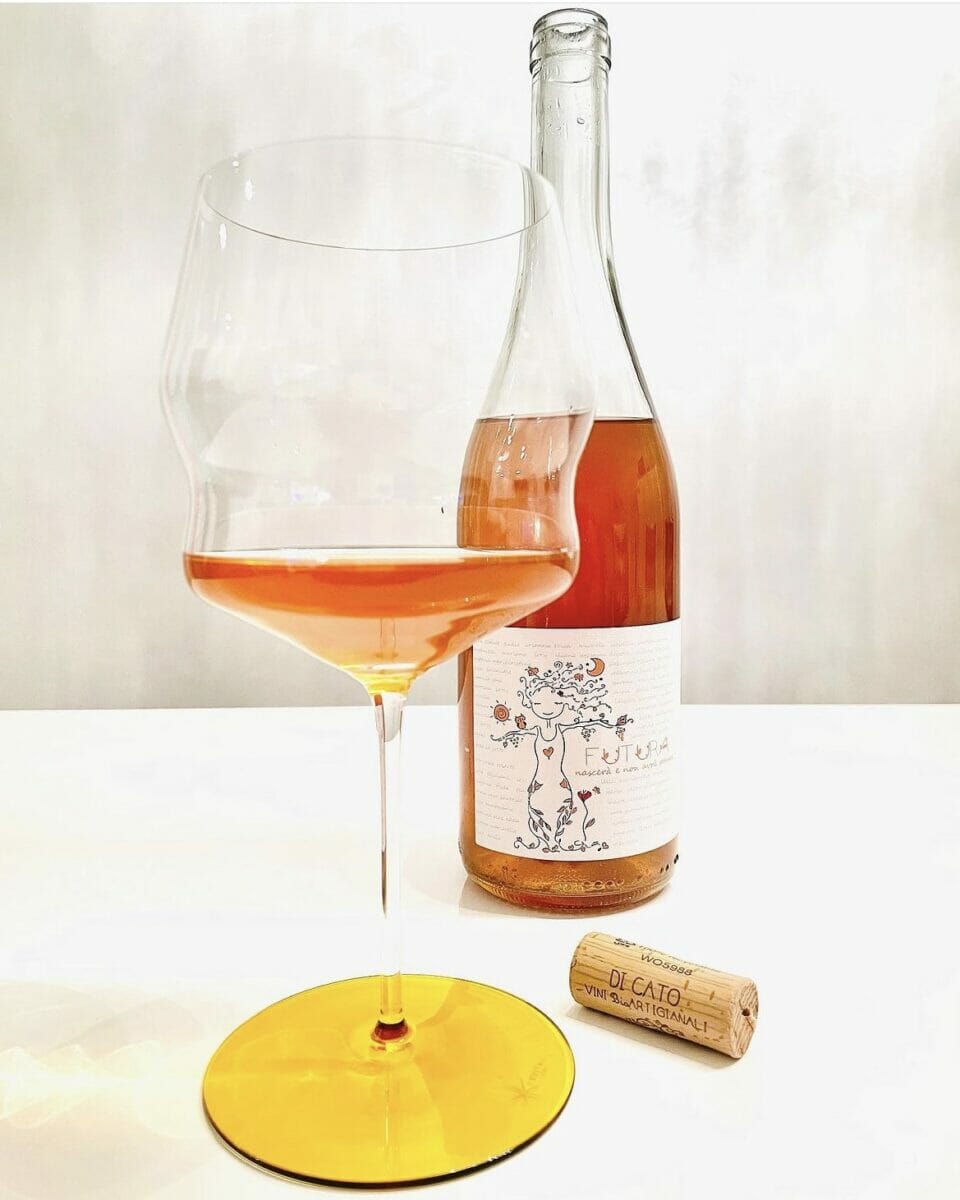 Futura, un vino dell'Azienda Agricola Di Cato