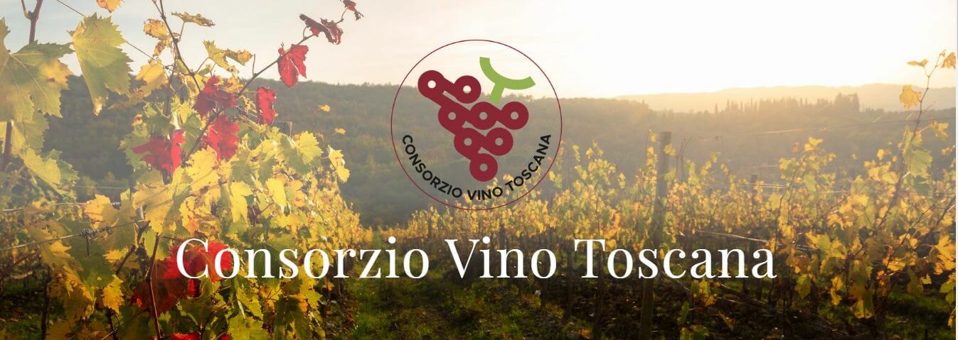 consorzio vino toscana