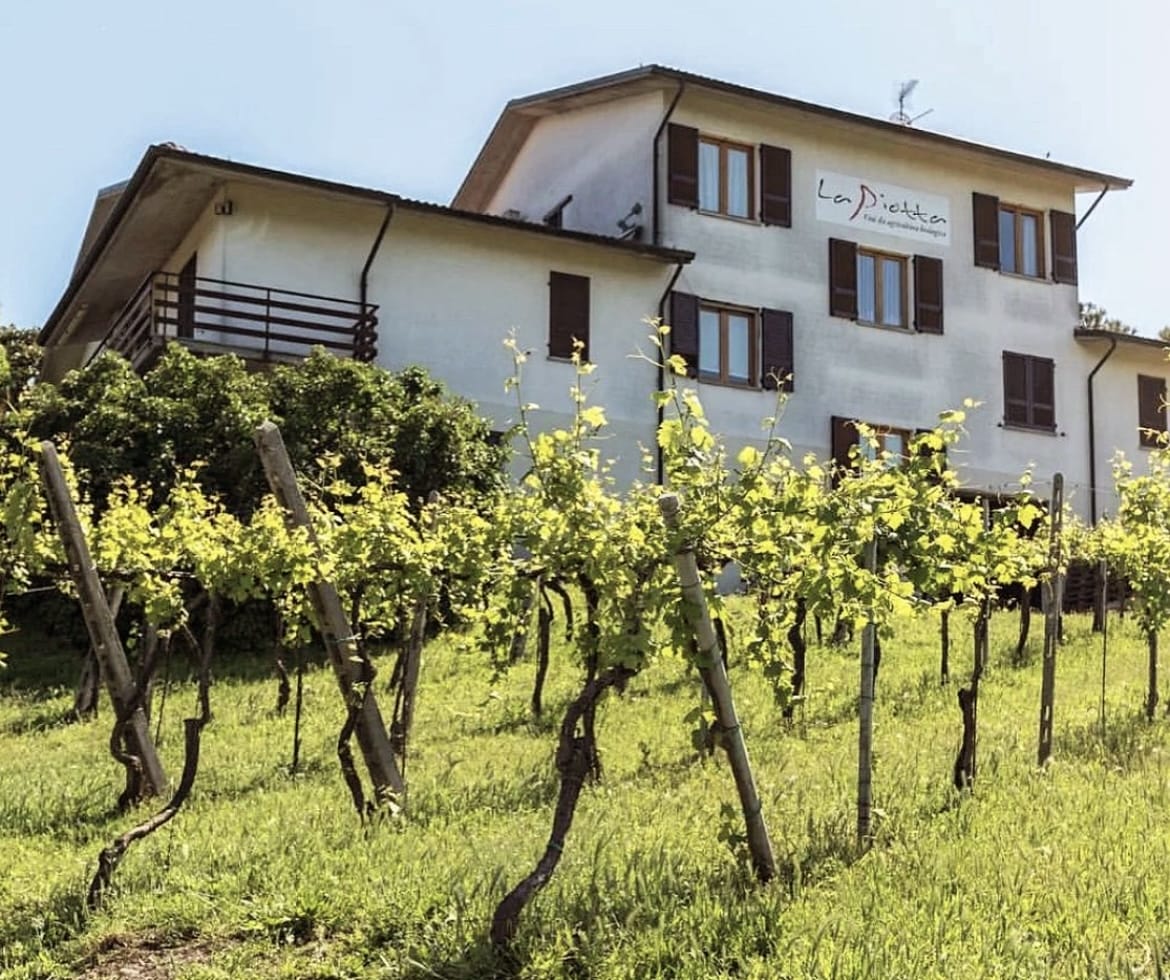 Azienda agricola La Piotta