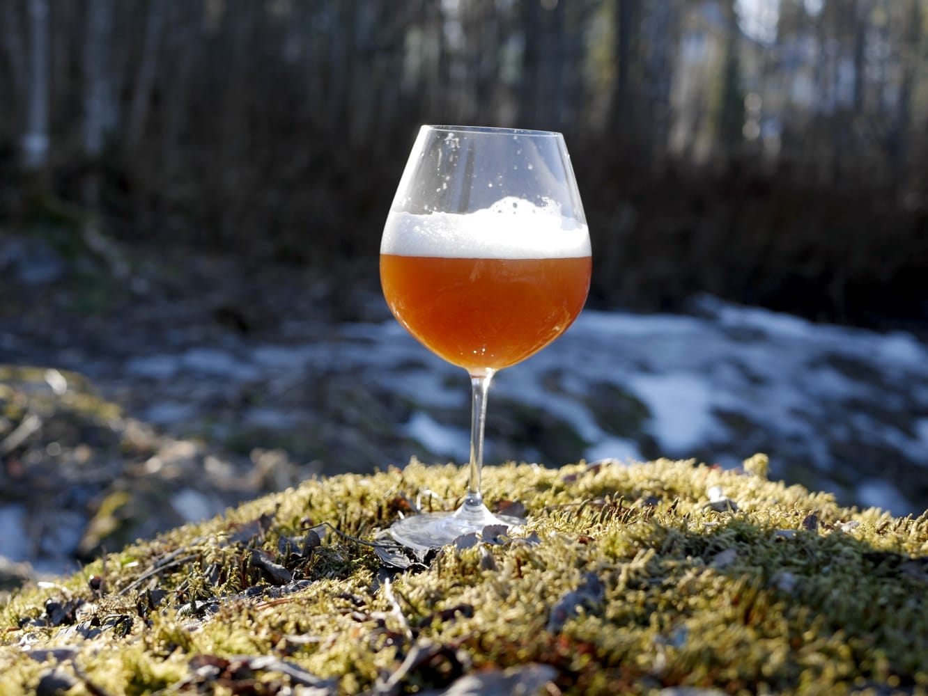 birra alle erbe