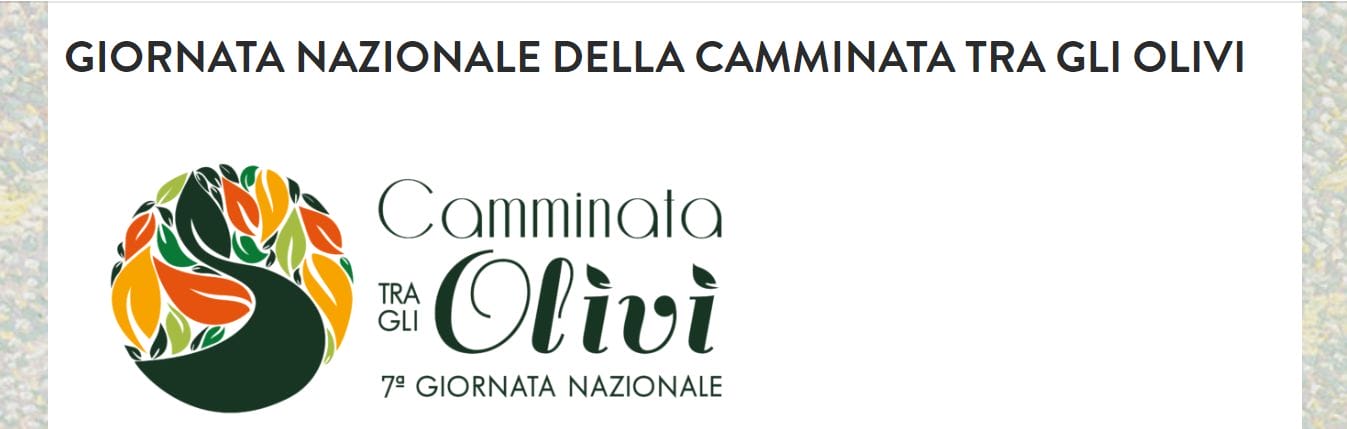 camminata tra gli ulivi