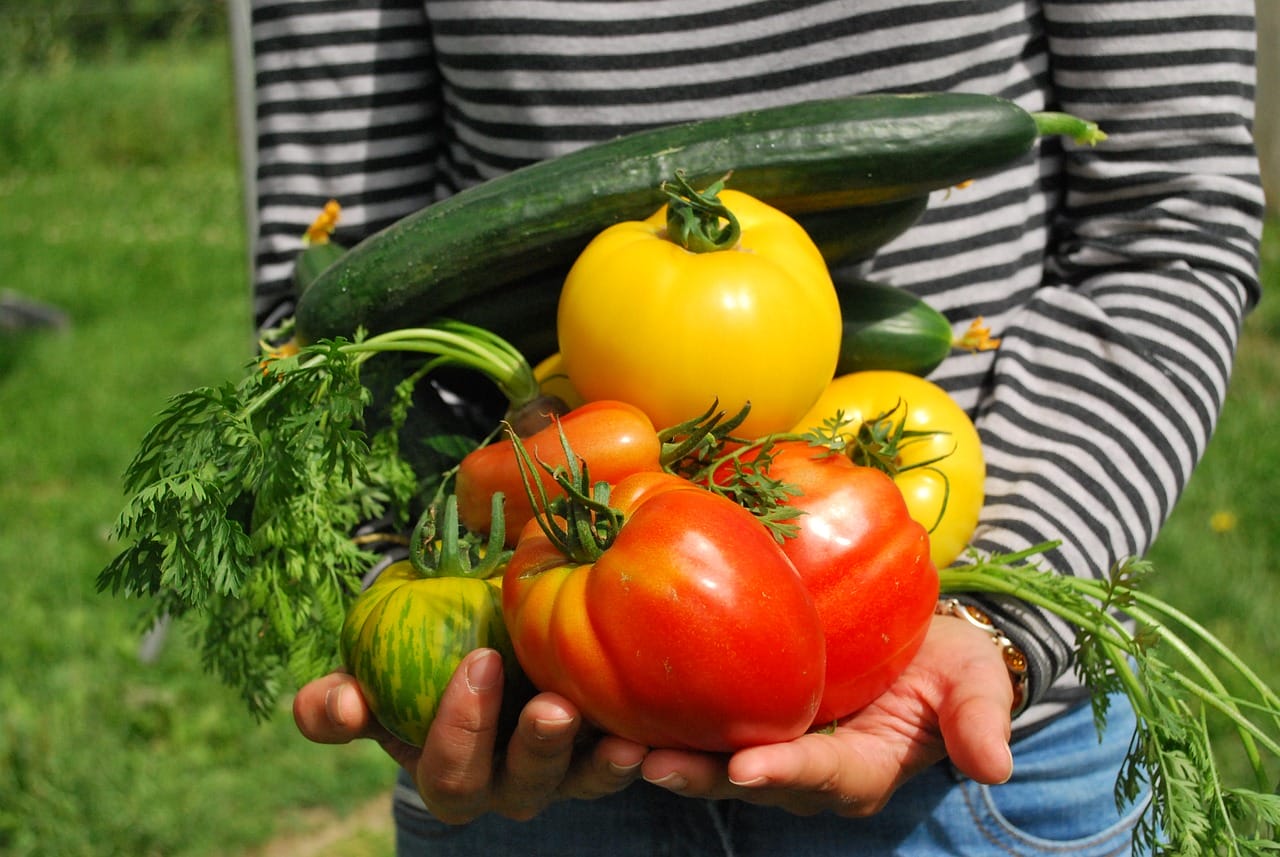Festa degli orti Slow food