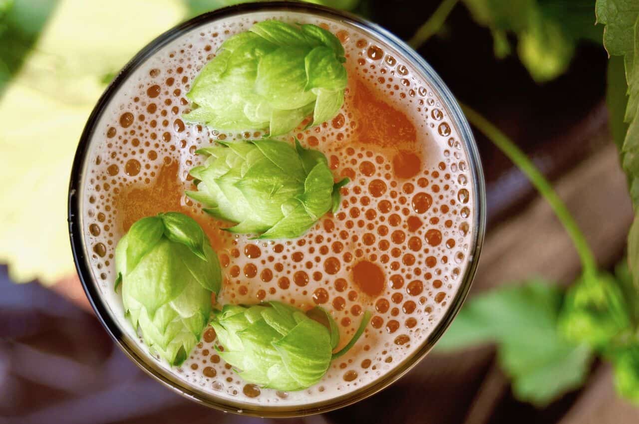 birra e luppolo