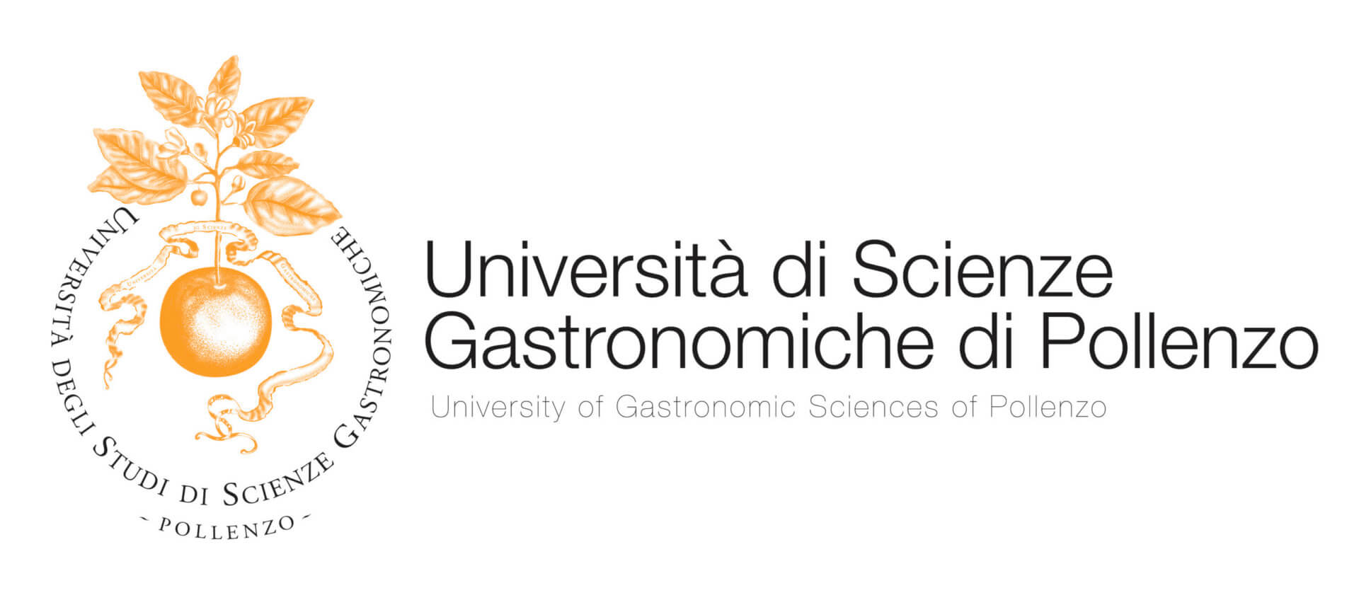 birra prima edizione stati