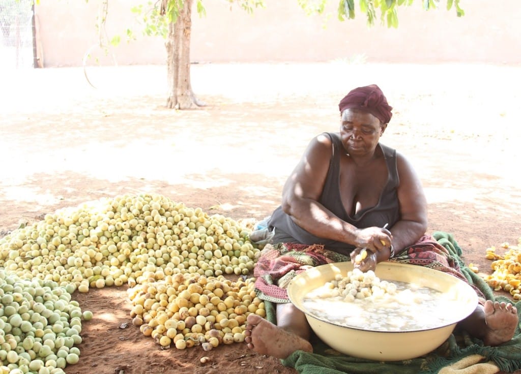 birra tradizinoale zimbabwe