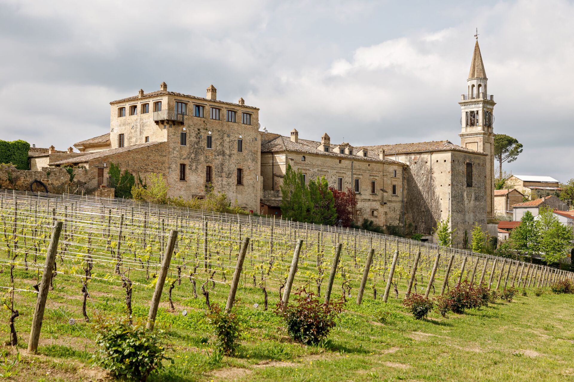 Masciarelli Tenute Agricole