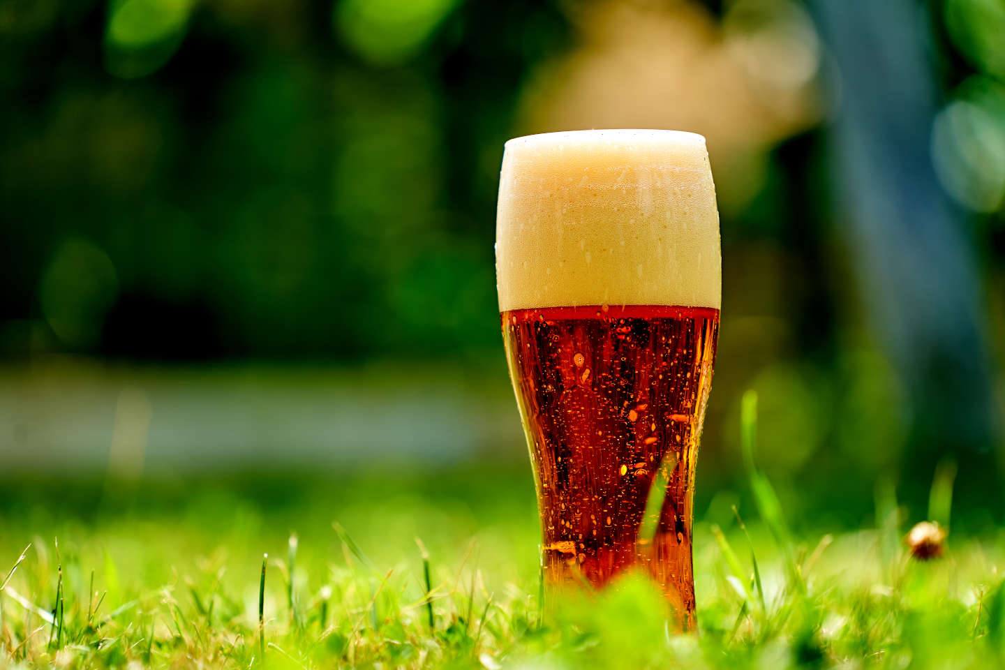 birra Asutria