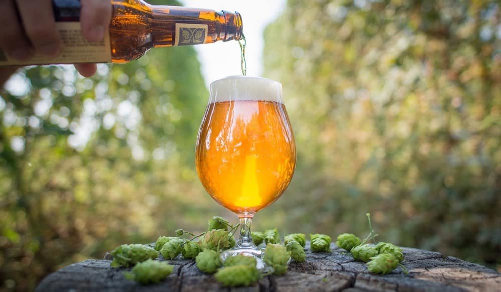 India Pale Ale