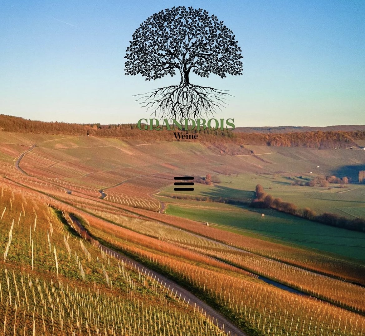 vini Grandboise