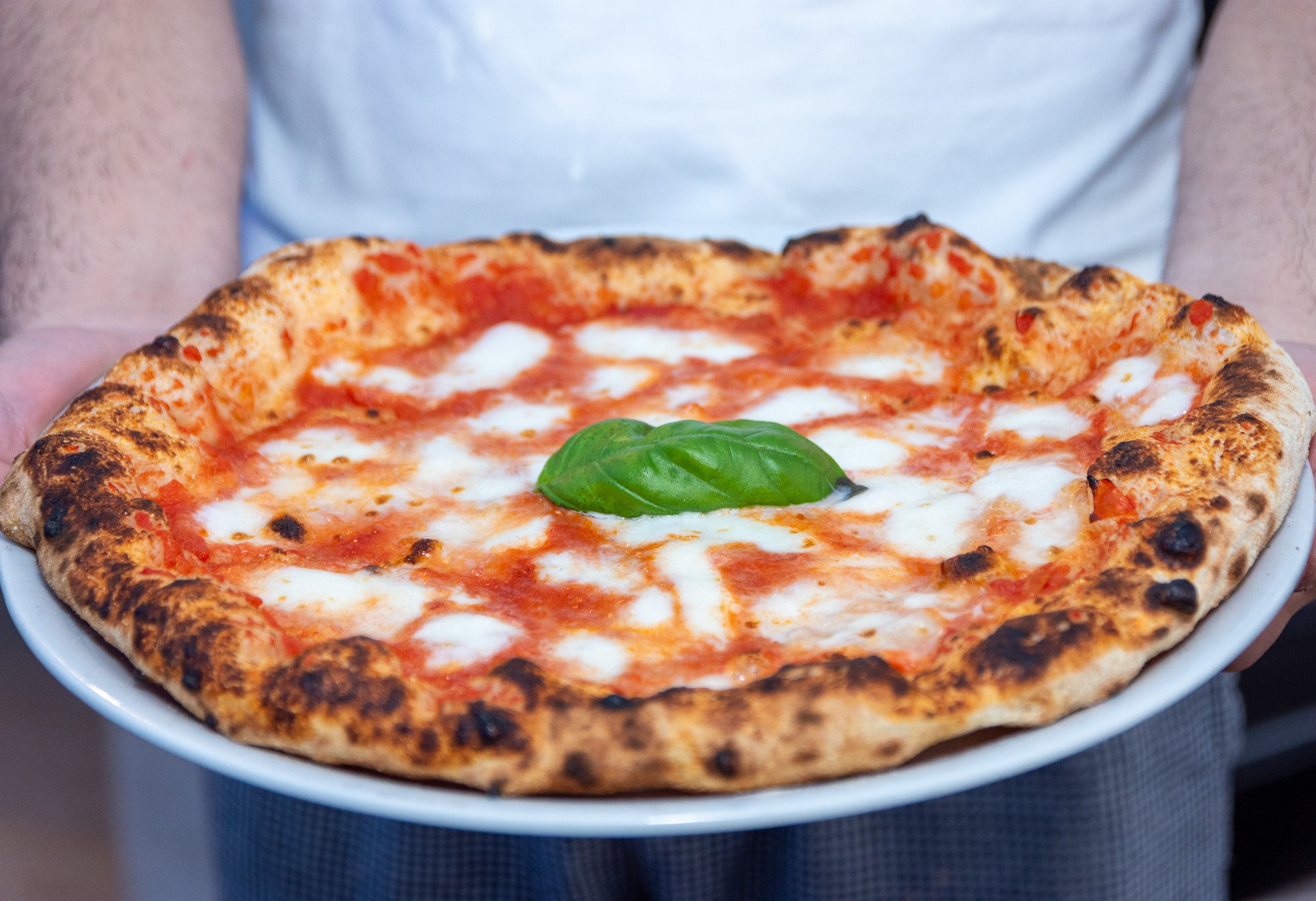 Pizza Margherita nel piatto