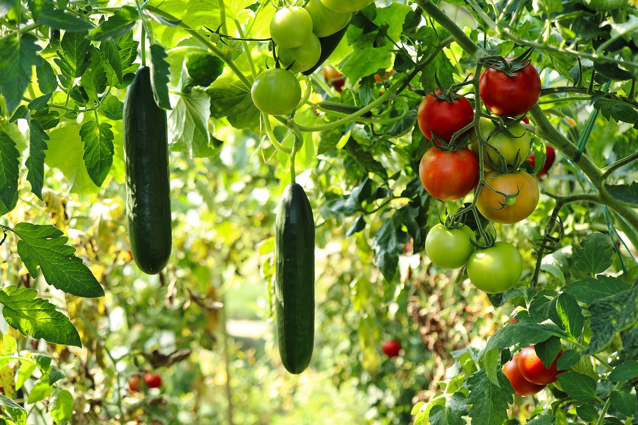 Terra Madre Salone del gusto