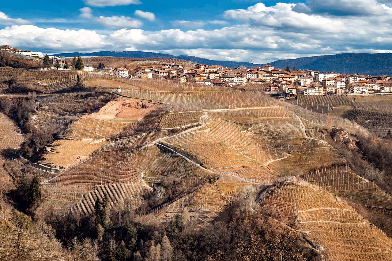 vigneto espianto