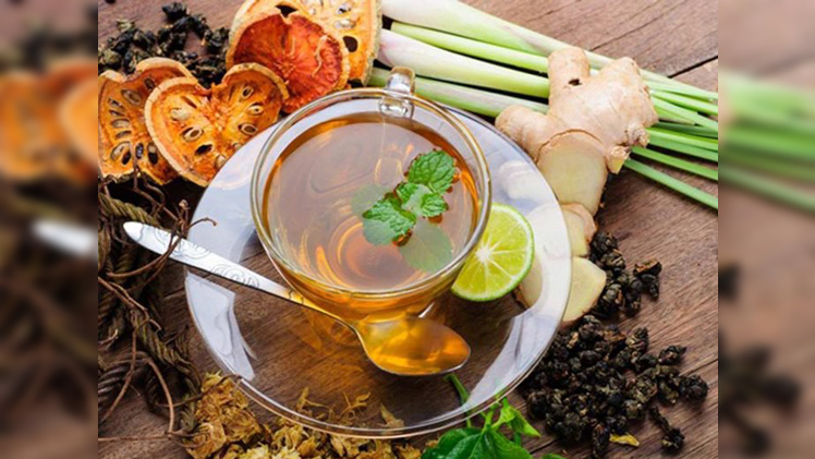 the Cambogia