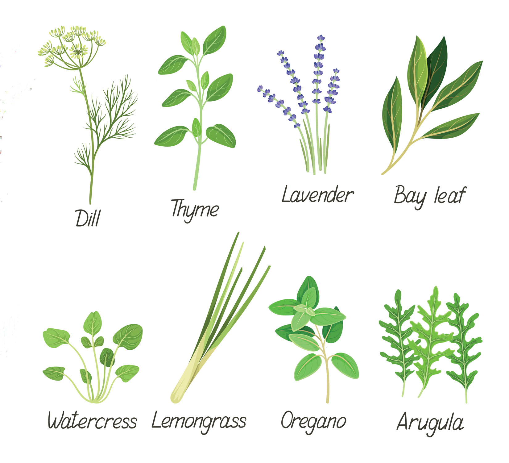 Botaniche per cocktail