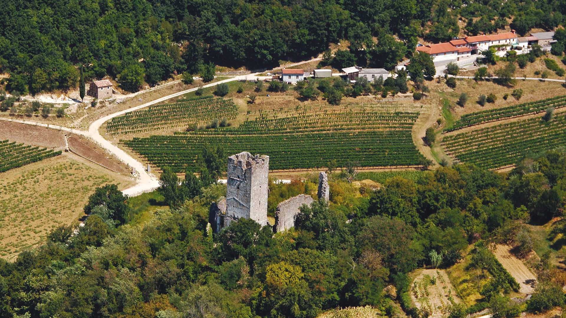 Moscato di Momiano: un simbolo istriano.