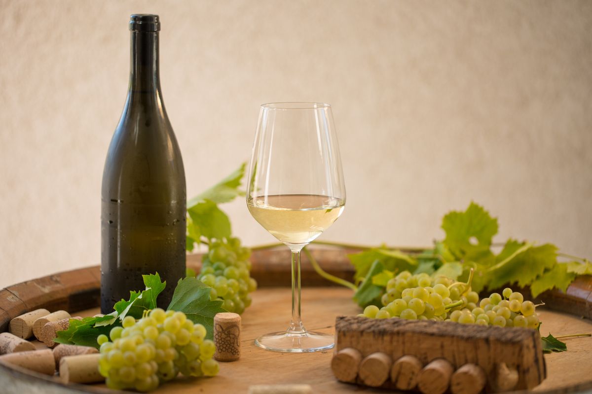 vino Croazia