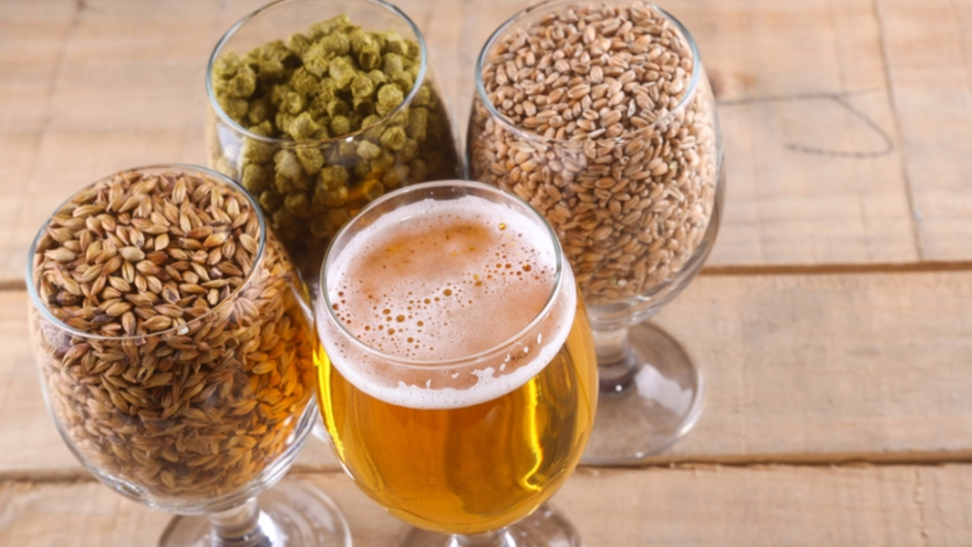 Calice di birra artigianale affiancato da tre bicchieri contenenti ingredienti fondamentali per la produzione: malto d'orzo, grano e luppolo in pellet.