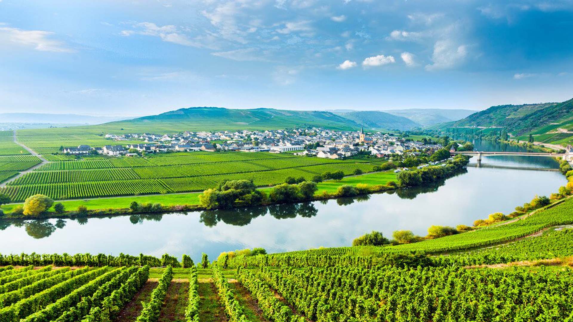 bevande tradizionali del mondo Germania Le bevande tradizionali del mondo: Germania tra birra, Riesling e spumanti di pere. Un viaggio tra cultura brassicola e viticoltura di qualità e tradizione.