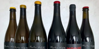 Vini naturali cechi: Martin Vajcner e la nuova identità Vini naturali cechi Martin Vajcner con bottiglie di Veltliner, Riesling e Pinot Noir prodotti in Moravia secondo viticoltura naturale e biodinamica