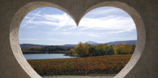 San Valentino, tre sfumature di rosso tra i vigneti toscani
