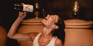 Vini naturali in Bordeaux: il progetto Maison Advinam vini naturali Bordeaux degustazione diretta bottiglia Maison Advinam