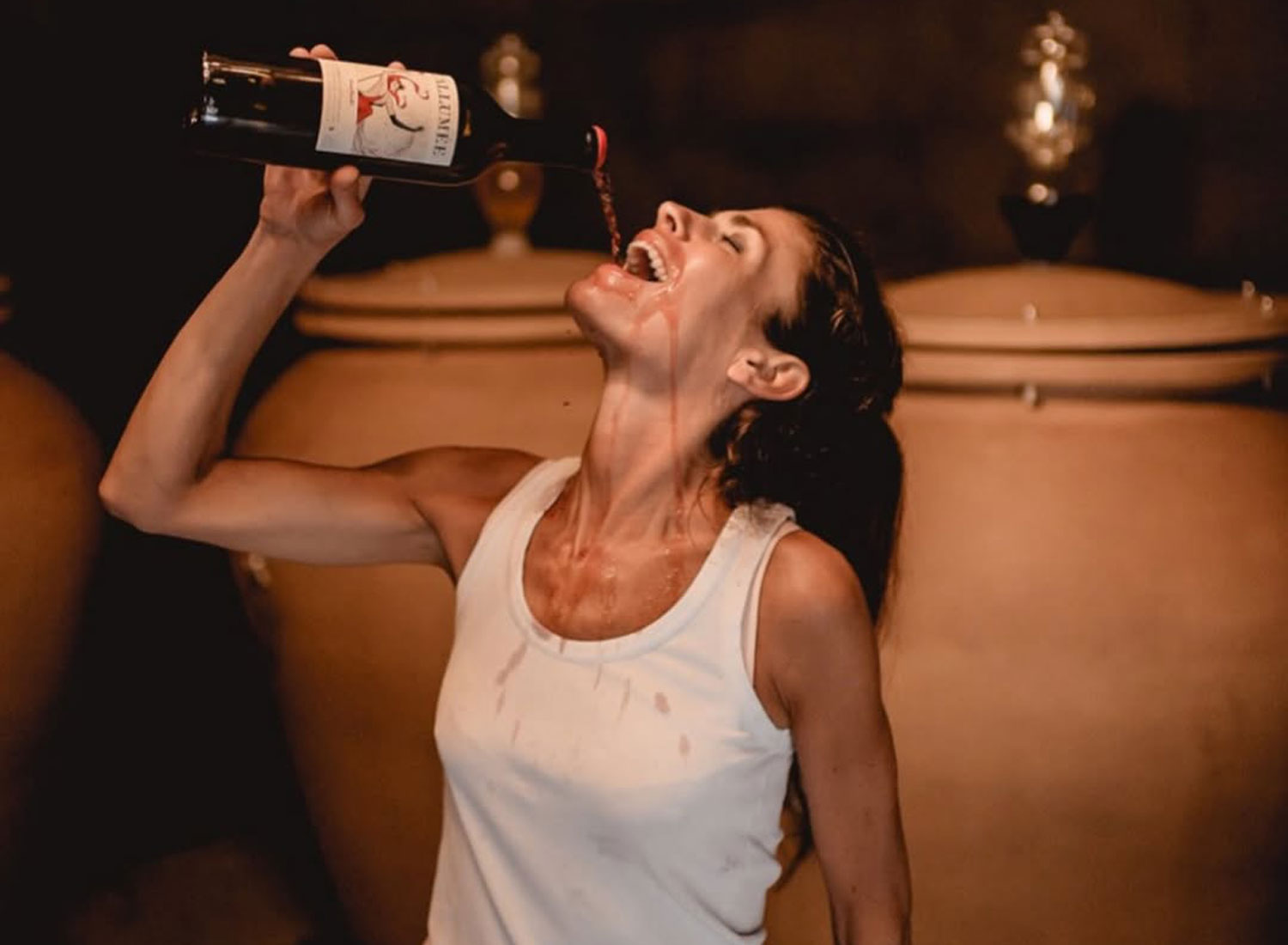 vini naturali Bordeaux degustazione diretta bottiglia Maison Advinam