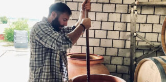 Wir Komplizer: i vini naturali di Francesco Vitali Vini naturali Svizzera Wir Komplizer con Francesco Vitali e produzione artigianale tra anfora e Pinot Noir